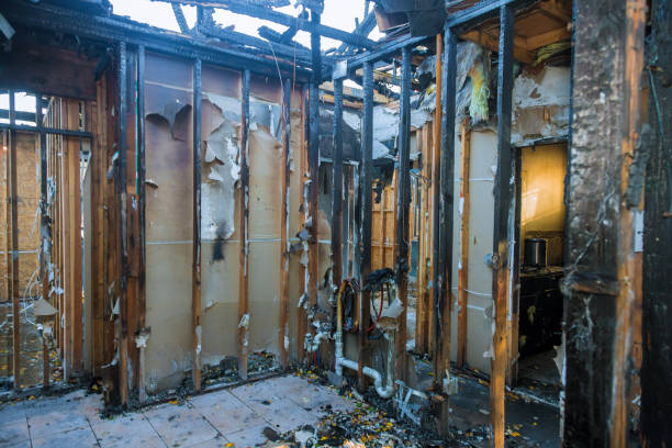 Professional Fire Damage Removal technician working in Norwood, NJ